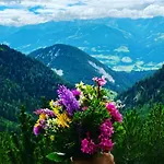 Neues Luxus Dachstein - - Direkt An Der Loipe Ramsau am Dachstein