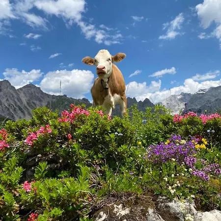 Apartmán Neues Luxus Dachstein - - Inklusive Sommercard!