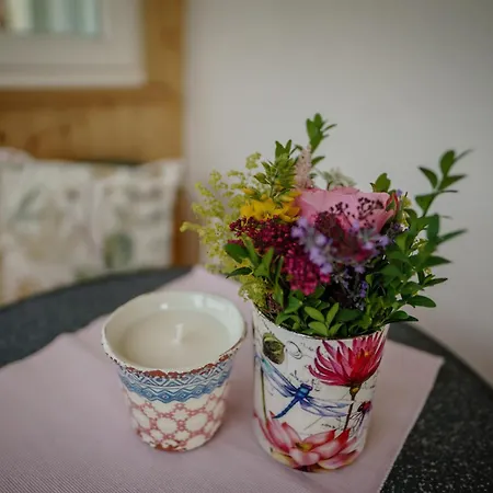 Neues Luxus Apartment Dachstein - Ramsau Am Dachstein - Direkt An Der Loipe *