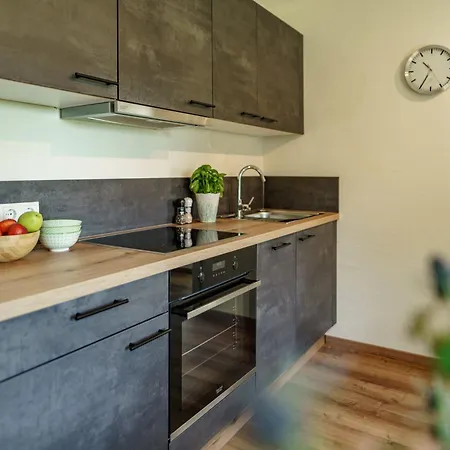 Neues Luxus Apartment Dachstein - Ramsau Am Dachstein - Direkt An Der Loipe