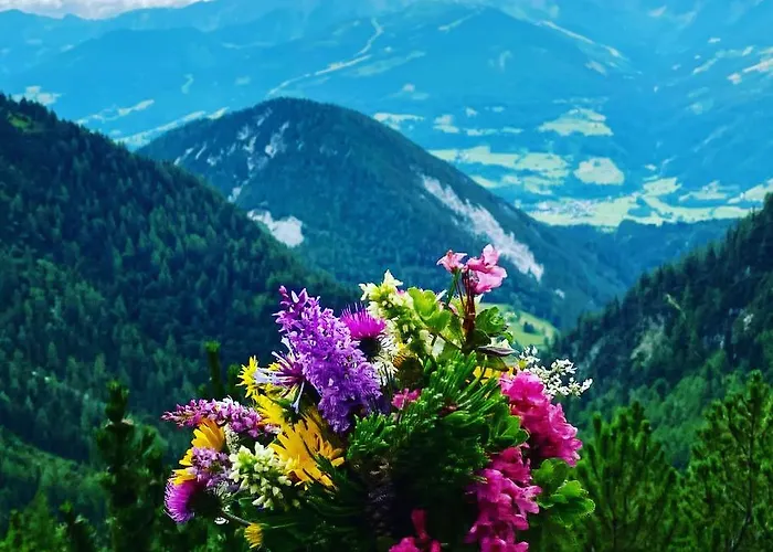 Neues Luxus Dachstein - - Inklusive Sommercard! Ramsau am Dachstein