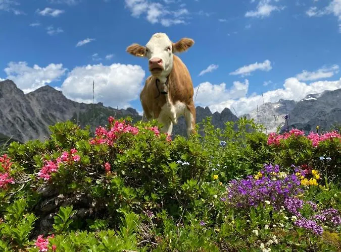 Διαμέρισμα Neues Luxus Dachstein - - Inklusive Sommercard!