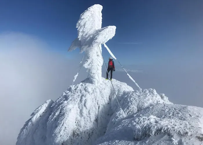 Neues Luxus Dachstein - - Inklusive Sommercard! Appartamento Ramsau am Dachstein