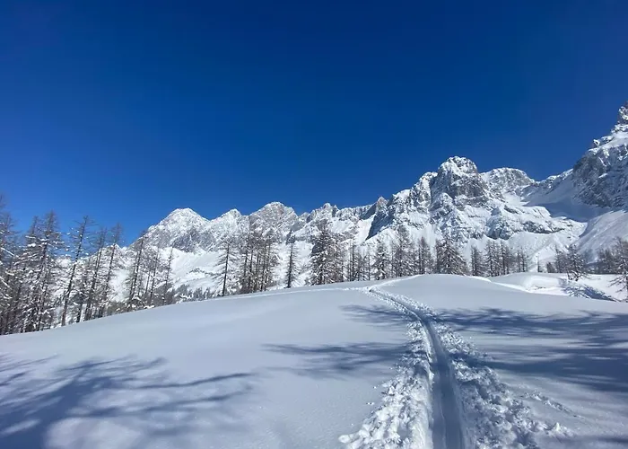 Apartment Neues Luxus Dachstein - - Direkt An Der Loipe