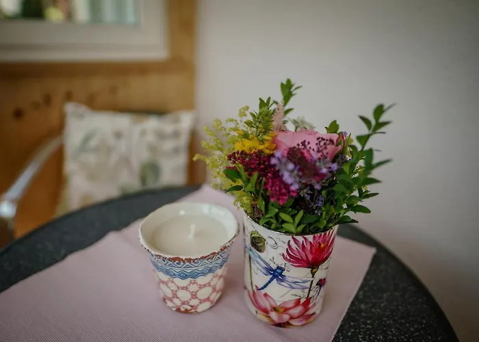 Neues Luxus Dachstein - - Direkt An Der Loipe *